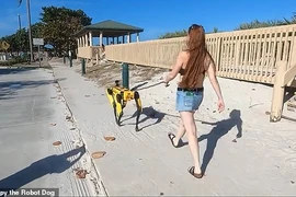 Chó robot giá 75.000 USD tự hoạt động, chơi đùa với chó thật khác