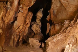 Khám phá hang động ở Honduras, giật thót mình thấy hài cốt 'phát sáng'