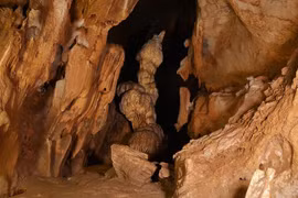 Khám phá hang động ở Honduras, giật thót mình thấy hài cốt 'phát sáng'