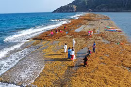 Bí ẩn bức tường thành chìm dưới nước ở Quy Nhơn