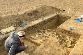 "Quái vật” kỷ băng hà bất ngờ lộ diện, chuyên gia giải mã sao? 