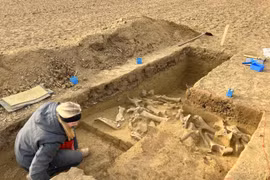 "Quái vật” kỷ băng hà bất ngờ lộ diện, chuyên gia giải mã sao? 