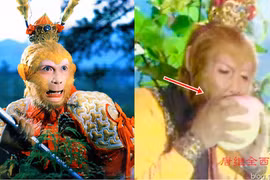 Tò mò 2 loại quả trường sinh trong Tây Du Ký