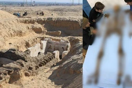 Mở mộ Pharaoh “bất hạnh” nhất Ai Cập, chuyên gia tái mặt thấy thứ này 