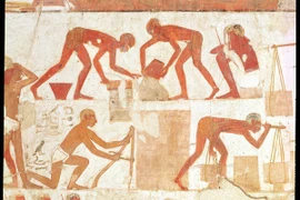 Tiết lộ cuộc sống của nô lệ Ai Cập cổ đại làm việc tại mỏ vàng