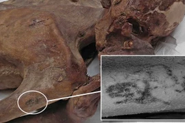 Xác ướp tự nhiên hé lộ bí mật thông qua hình xăm