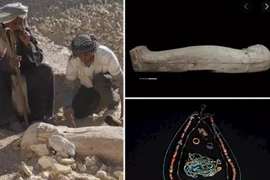 Phát hiện điều kinh ngạc bên trong quan tài cổ