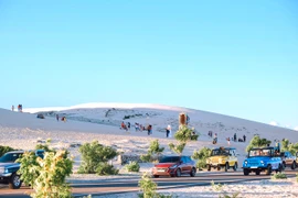 7 địa điểm đẹp như mơ, đáng khám phá nhất trong dịp Tết 