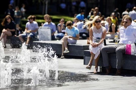 Anh ban bố tình trạng khẩn cấp quốc gia vì nắng nóng