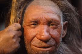 Người Neanderthal sống cách đây khoảng 40.000 năm từng ăn thịt đồng loại?