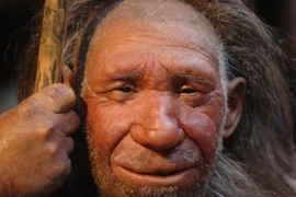 Người Neanderthal sống cách đây khoảng 40.000 năm từng ăn thịt đồng loại?