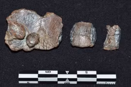 Sốc nặng sự thật về 30 tấm bia khắc lời nguyền ở Hy Lạp