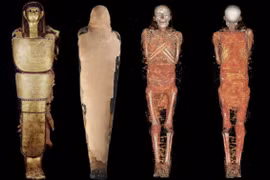 Xác ướp Ai Cập chứa vi khuẩn có thể gây ra đại dịch?