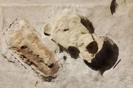 Kinh ngạc hộp sọ quái thú trấn yểm trong mộ cổ 2.000 tuổi