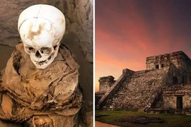 Hé lộ bí mật khủng khiếp của đế chế Inca qua những hộp sọ 