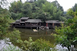 Ngôi làng quanh năm tịnh không bóng muỗi nhờ tôn thờ... "thần thú"? 