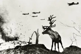 Ảnh kinh điển về Thế chiến 2 qua ống kính huyền thoại Liên Xô