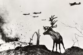 Ảnh kinh điển về Thế chiến 2 qua ống kính huyền thoại Liên Xô