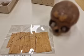 Tiết lộ gây sốc về hộp sọ nghi của chị gái Nữ hoàng Cleopatra