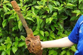 Cậu bé 10 tuổi tìm thấy 'bảo kiếm' khoảng 300 tuổi