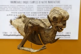 Sự thật quá sốc về "nàng tiên cá dị hình" nổi tiếng khắp TG 