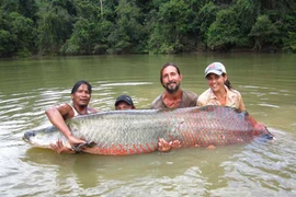 Những thủy quái sông Amazon hung dữ nhất thế giới