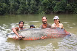 Những thủy quái sông Amazon hung dữ nhất thế giới