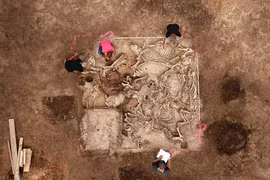 Bí ẩn địa vị của chủ nhân ngôi mộ cổ 1.500 tuổi ở Đức 