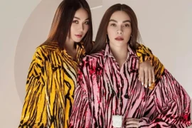 Hồ Ngọc Hà: "Tôi cảm thấy rất thương cho bạn trai Thanh Hằng" 