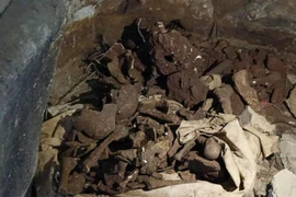 Thông tin về 18 hộp sọ phát hiện trong hang đá ở Nghệ An