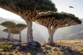 15 hình ảnh về những địa điểm kỳ lạ trên Trái đất