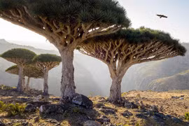 15 hình ảnh về những địa điểm kỳ lạ trên Trái đất