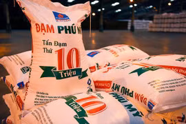 VDSC dự phóng lãi ròng quý 4 của DPM tăng trưởng 15 lần