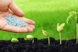 'Chiến tranh phân bón thế giới' đang diễn ra?