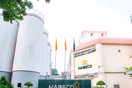 Habeco muốn dành 552 tỷ đồng trả cổ tức năm 2020 cho cổ đông