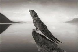 Kỳ bí hồ nước chạm vào là hóa đá