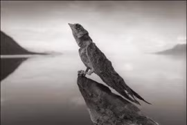 Kỳ bí hồ nước chạm vào là hóa đá