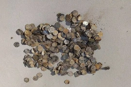 Bất ngờ đụng trúng 'kho báu' khủng