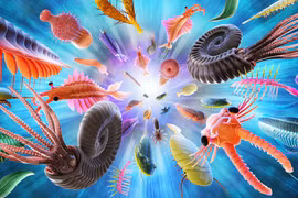 Loài nào xuất hiện đầu tiên trên trái đất?