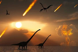 Trái đất đã trải qua những cuộc đại tuyệt chủng đáng sợ nào?