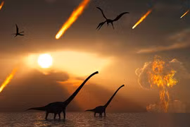 Trái đất đã trải qua những cuộc đại tuyệt chủng đáng sợ nào?