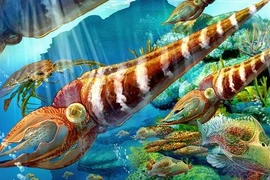 Những cuộc đại tuyệt chủng đáng sợ nhất lịch sử