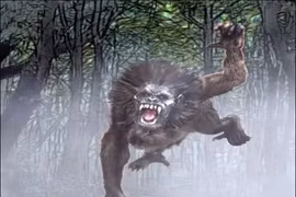 Sự thật bất ngờ về sinh vật tàn ác, gây ám ảnh cả châu Mỹ