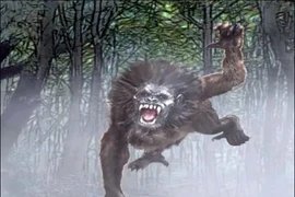 Sự thật bất ngờ về sinh vật tàn ác, gây ám ảnh cả châu Mỹ