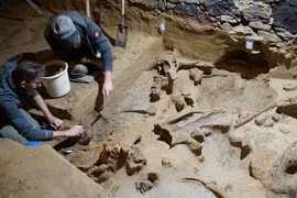 Mở hầm rượu cũ, tái mặt thấy 3 "quái thú" khổng lồ xuất hiện 