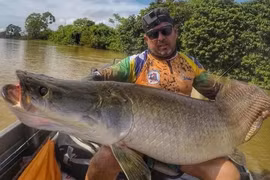 Tóm được 'quái ngư' siêu khủng, cần thủ lập tức làm một việc