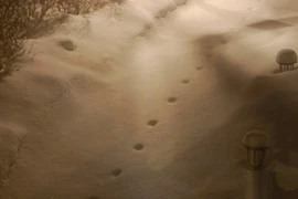 Ám ảnh loạt sự kiện bí ẩn đến rùng mình