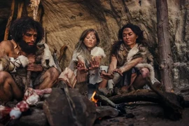 Mẫu hoá thạch làm thay đổi quan điểm về lịch sử hình thành loài người