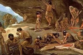 Lý do con người là sinh vật duy nhất cần mặc quần áo