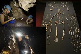 Phát hiện hài cốt của loài người cổ Homo naledi 